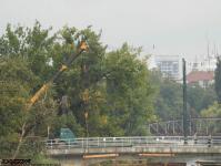 Imagine atasata: Pod Stefan Cel Mare - 2019.09.26 - 11.jpg